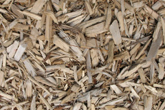 biomass boilers Ardifuir